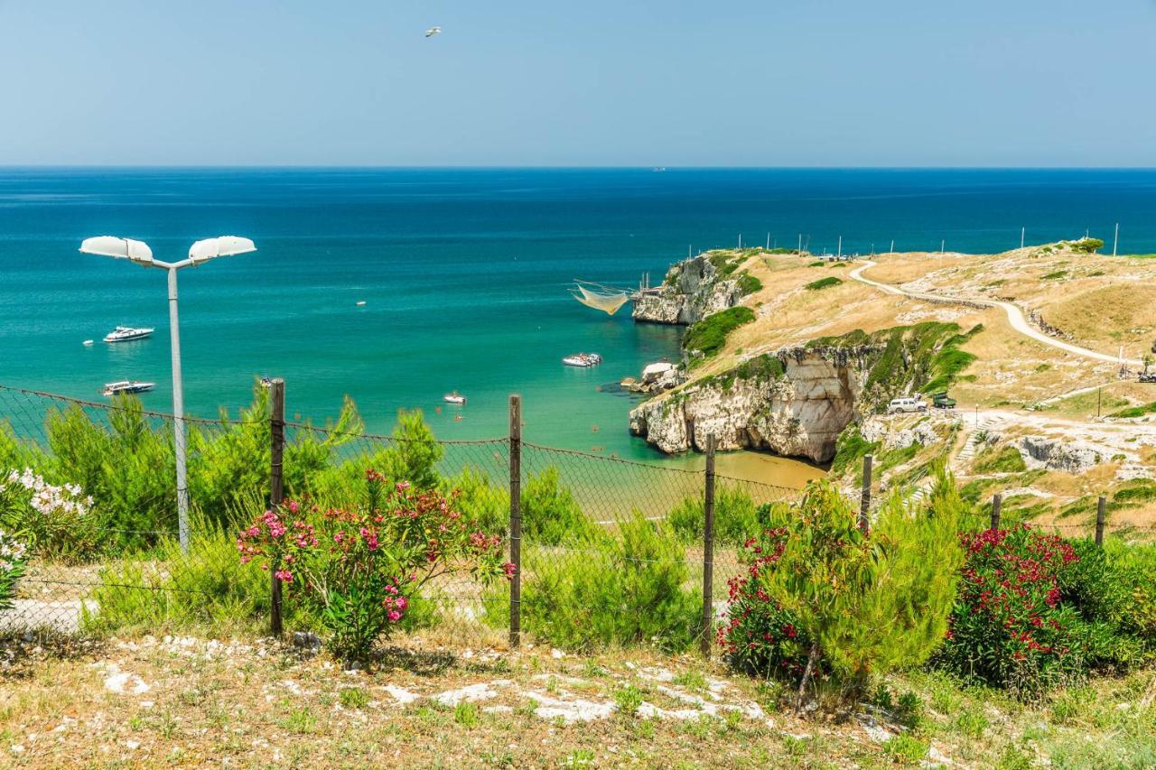 Appartamenti - Spiaggia Zaiana เปสคีชี ภายนอก รูปภาพ